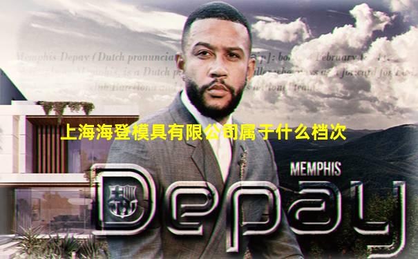上海海登模具有限公司属于什么档次