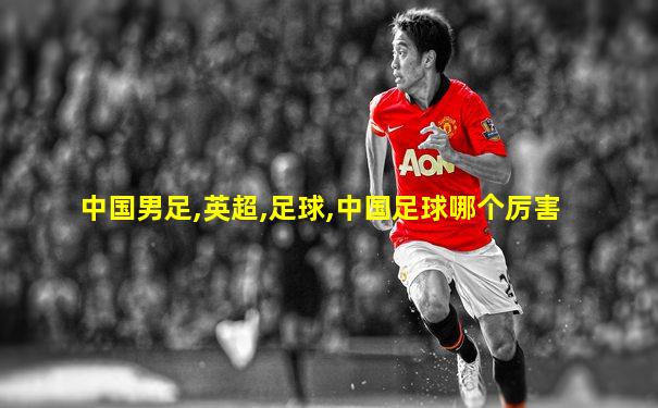 中国男足,英超,足球,中国足球哪个厉害