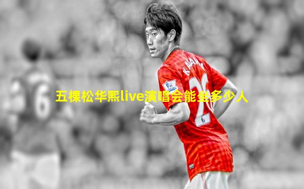 五棵松华熙live演唱会能坐多少人
