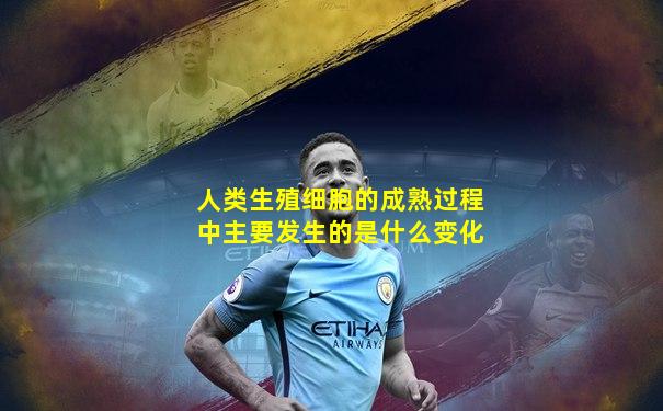 人类生殖细胞的成熟过程中主要发生的是什么变化