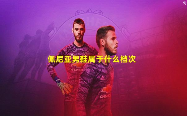 佩尼亚男鞋属于什么档次