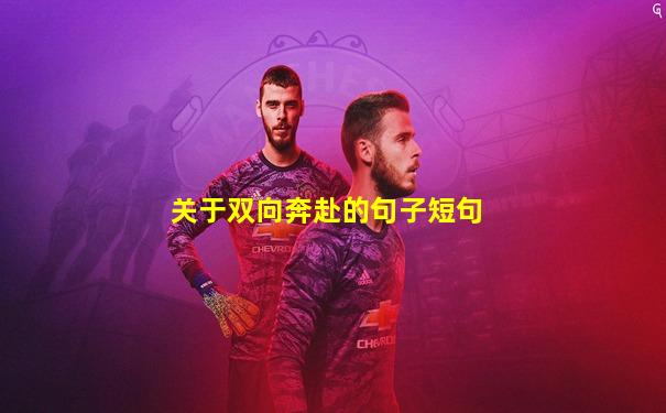 关于双向奔赴的句子短句