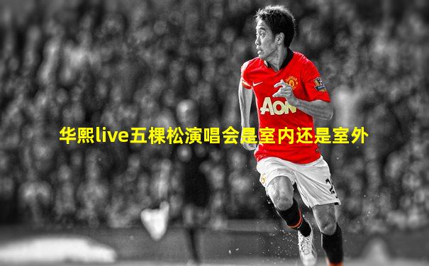 华熙live五棵松演唱会是室内还是室外