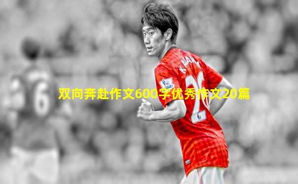 双向奔赴作文600字优秀作文20篇