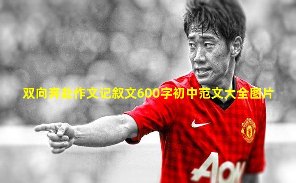 双向奔赴作文记叙文600字初中范文大全图片