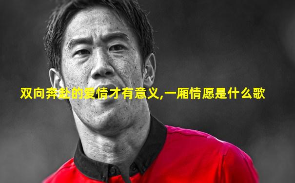 双向奔赴的爱情才有意义,一厢情愿是什么歌