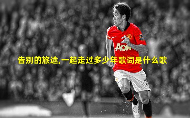 告别的旅途,一起走过多少年歌词是什么歌