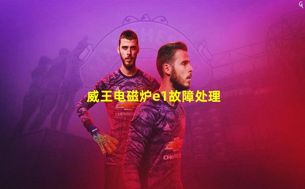 威王电磁炉e1故障处理