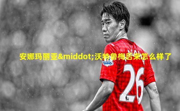 安娜玛丽亚·沃特鲁梅后来怎么样了