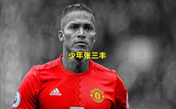 少年张三丰