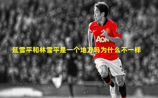 延雪平和林雪平是一个地方吗为什么不一样