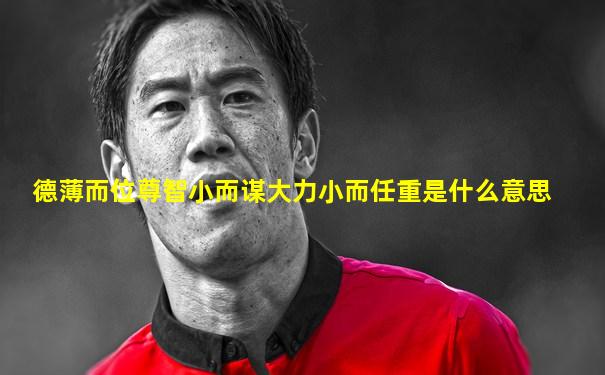 德薄而位尊智小而谋大力小而任重是什么意思