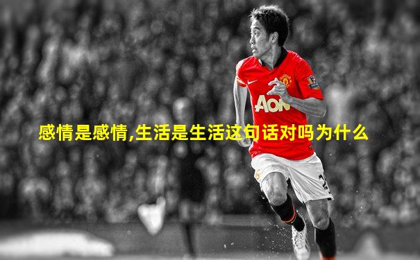 感情是感情,生活是生活这句话对吗为什么