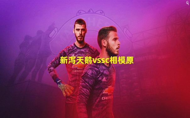 新泻天鹅vssc相模原