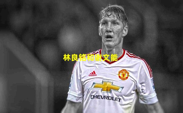 林良铭和谢文能