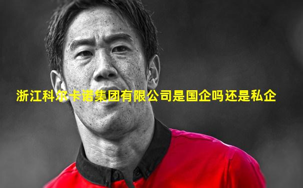 浙江科尔卡诺集团有限公司是国企吗还是私企