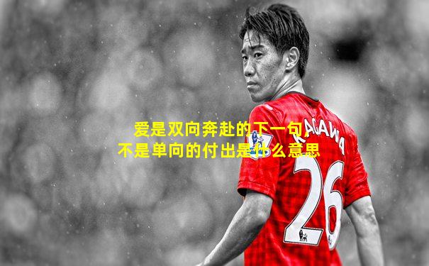 爱是双向奔赴的下一句,不是单向的付出是什么意思