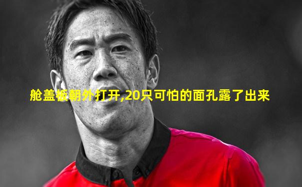 舱盖板朝外打开,20只可怕的面孔露了出来